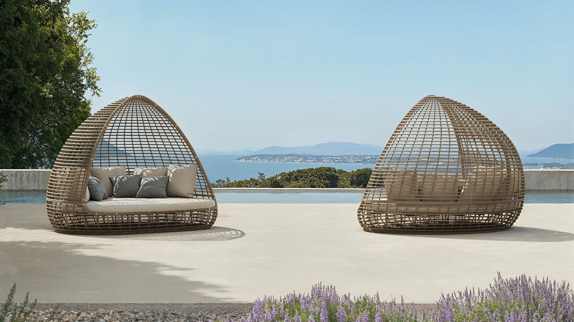 Shade – by Noel Royo Asenjo